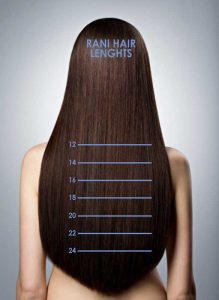 hair length chart showing model with long hair